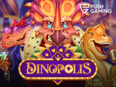 Online bingo casino13